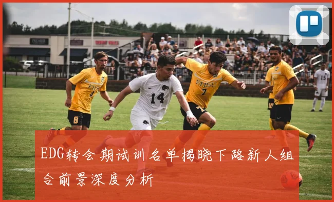 EDG转会期试训名单揭晓下路新人组合前景深度分析